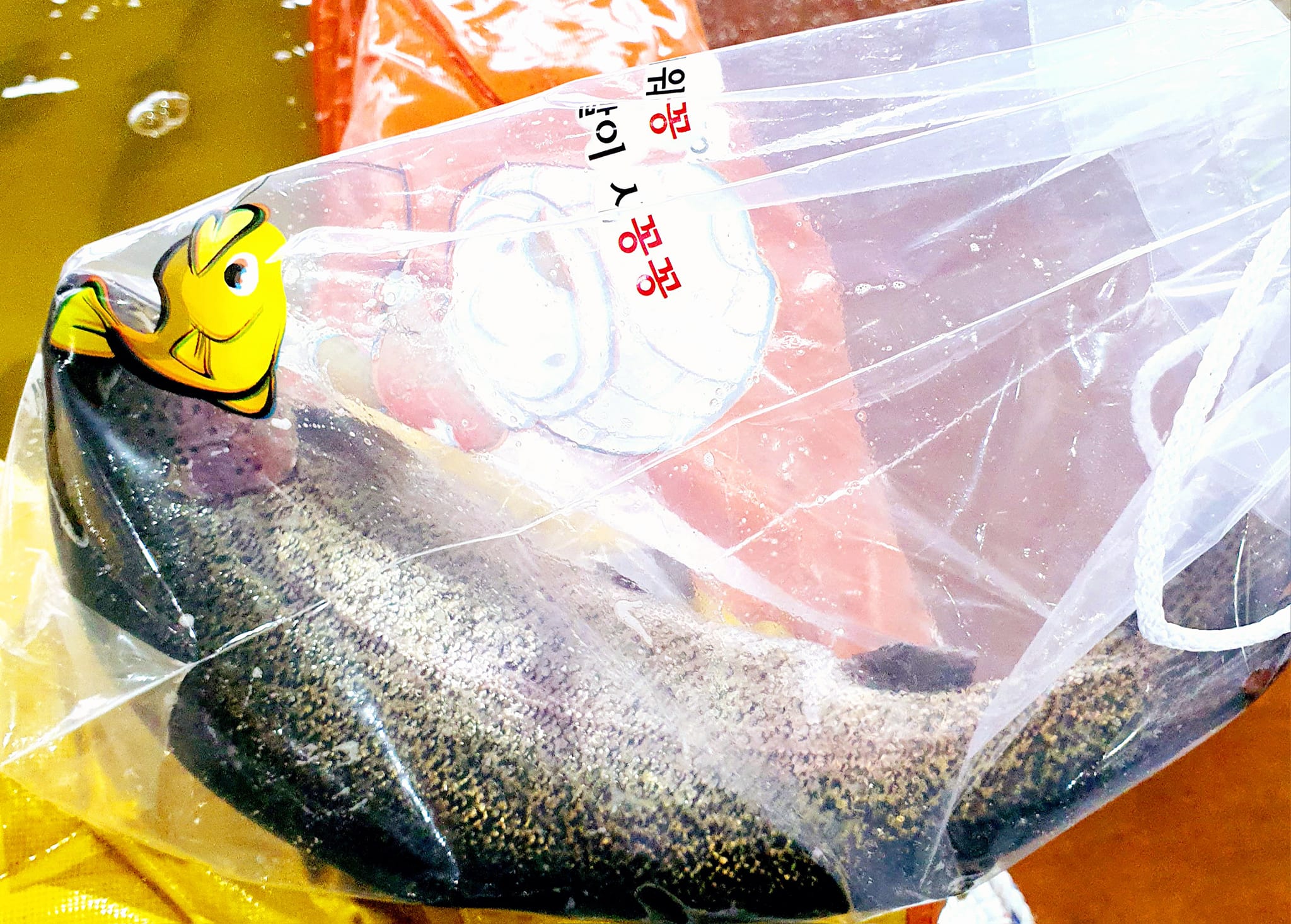  홍천강 꽁꽁축제 미리보기