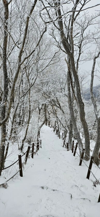 소백산 논꽃산행