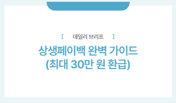 상생페이백 완벽 가이드