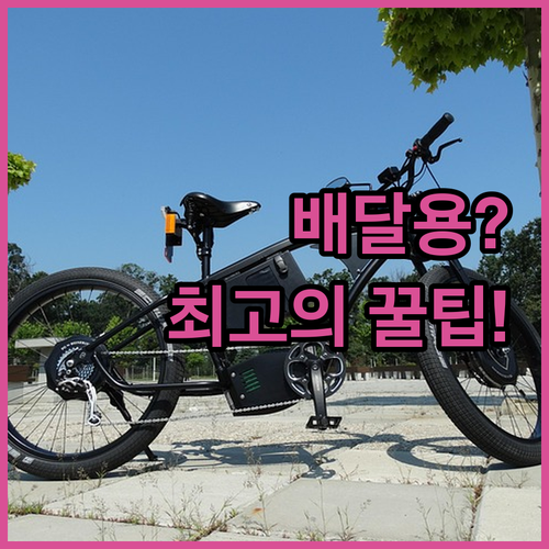 출퇴근 배달 부업용 전기자전거 추천 ..