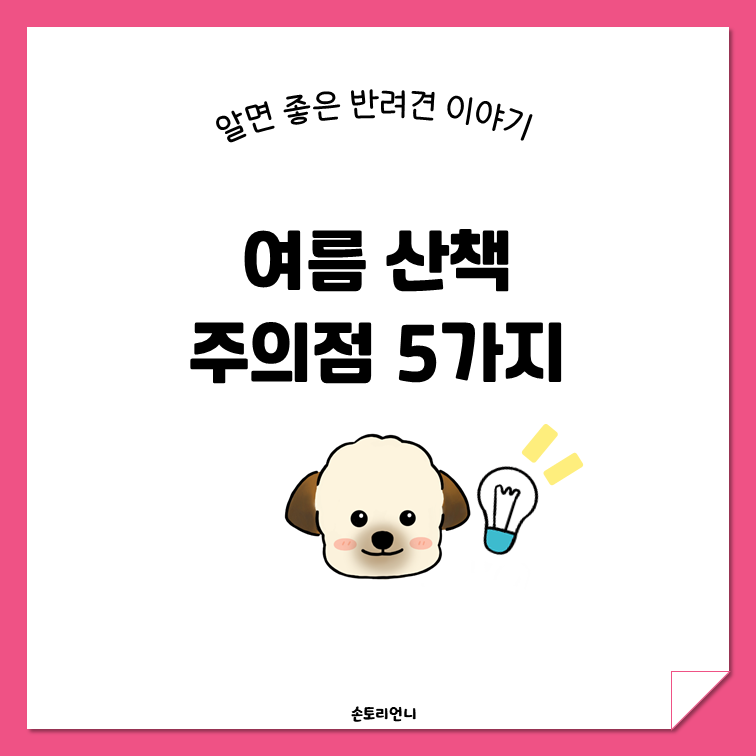 여름 산책 주의사항 5가지