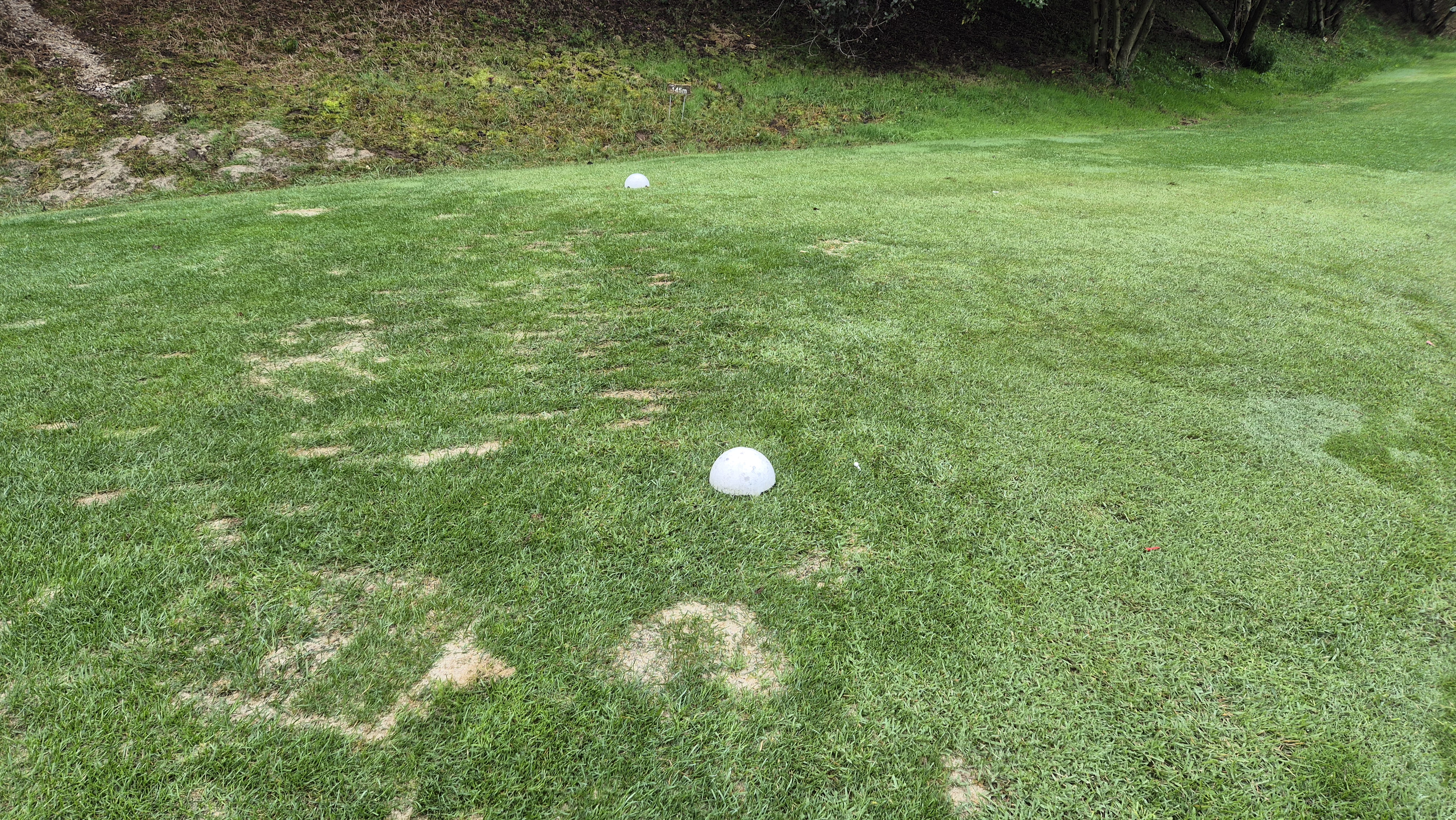 서산수cc 티잉구역 상태