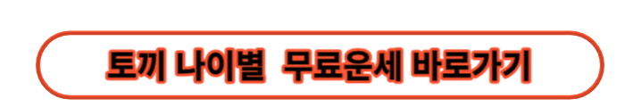 2024년 신년운세