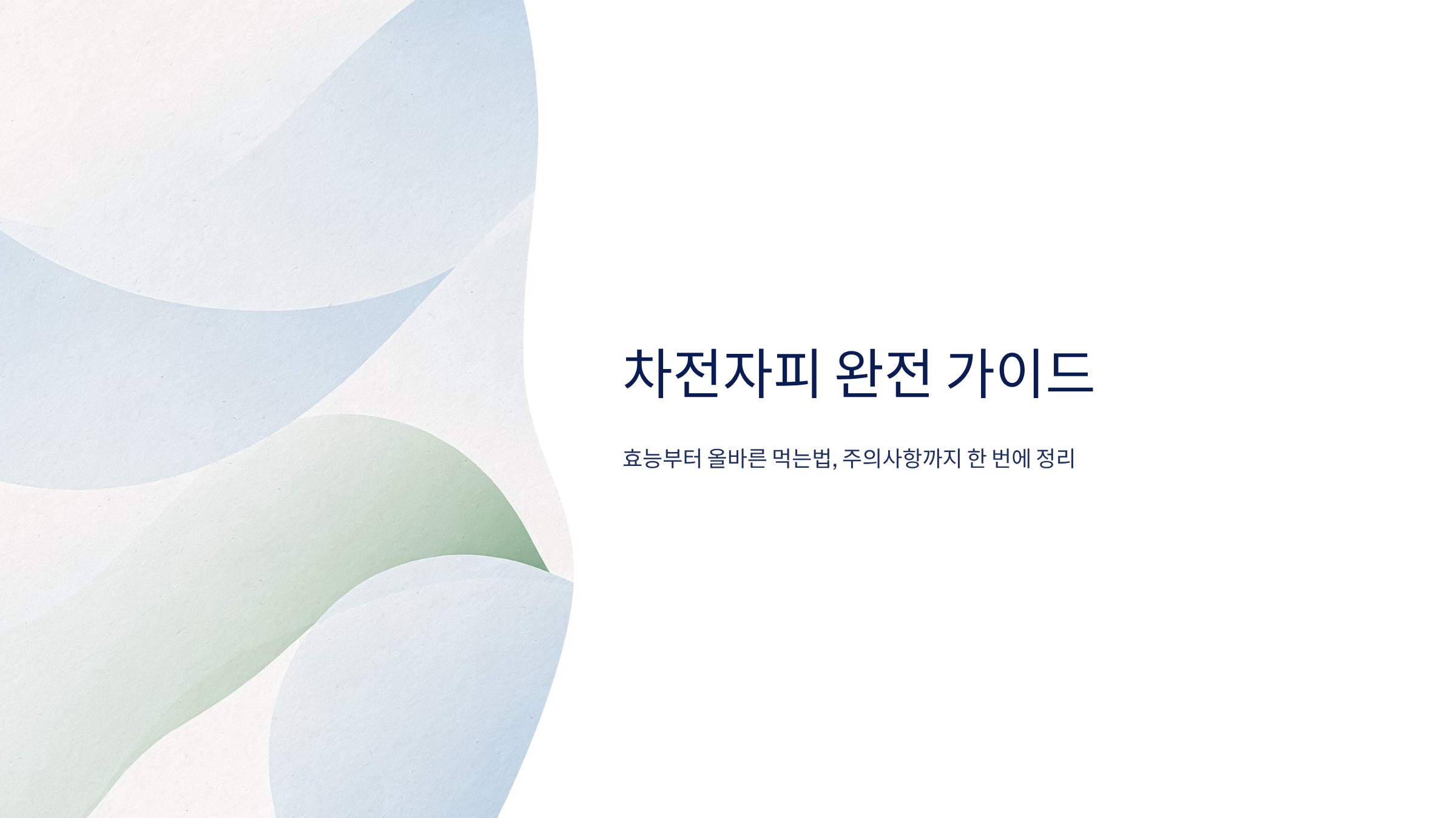 차전자피의 효능 차전자피 먹는법