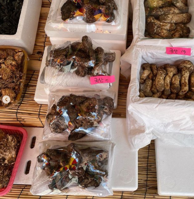 자연산 버섯가게 산드레