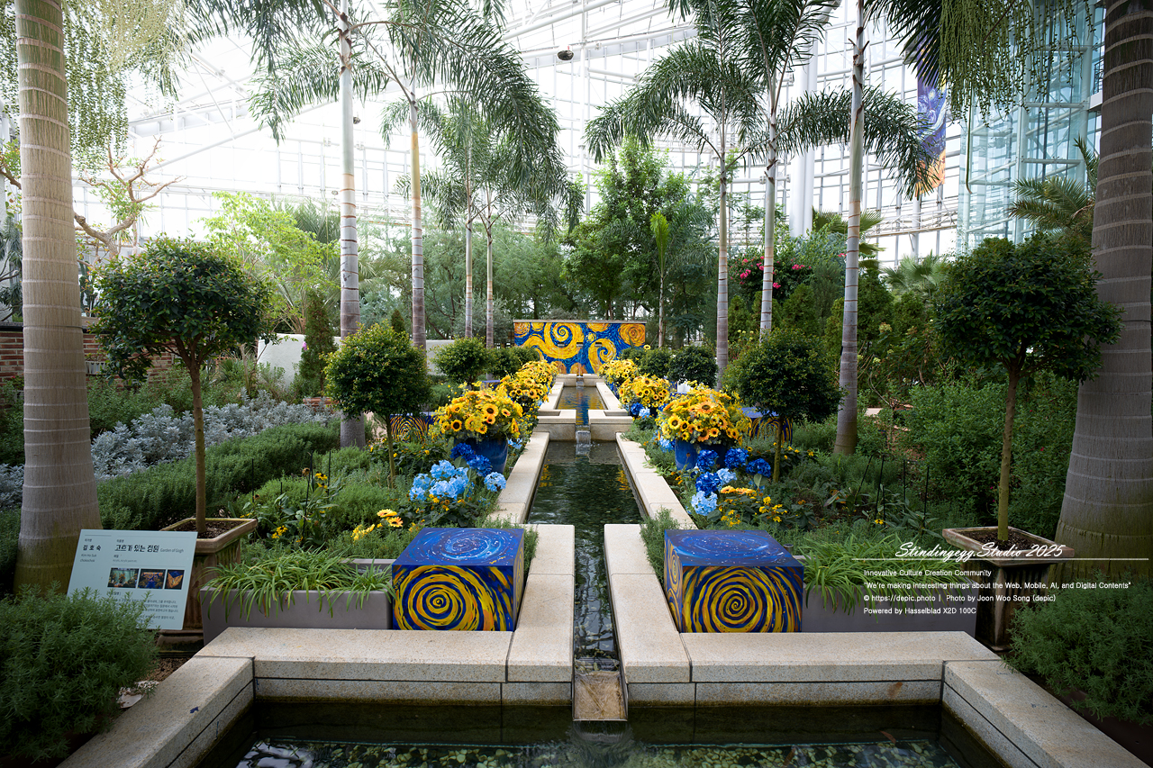 #세종 #세종수목원 #고흐 #정원 #수목원