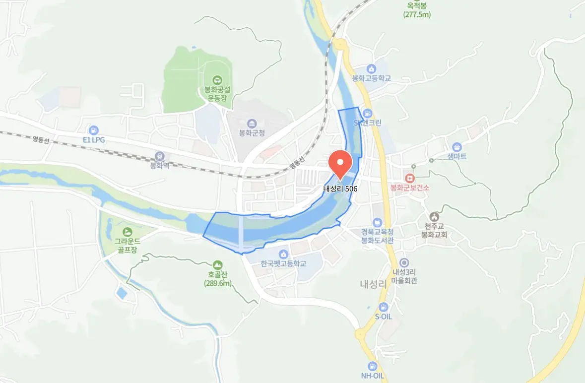 봉화송이축제
