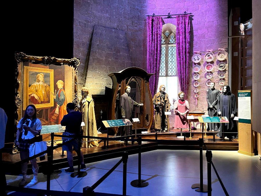 어둠의 마법 방어술인 흑마법을 가르치는 교수