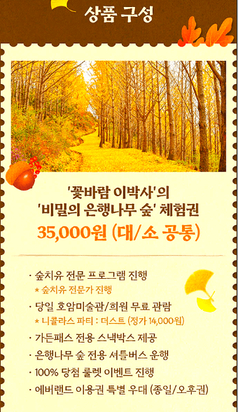 용인 에버랜드 은행나무숲 예약 방법