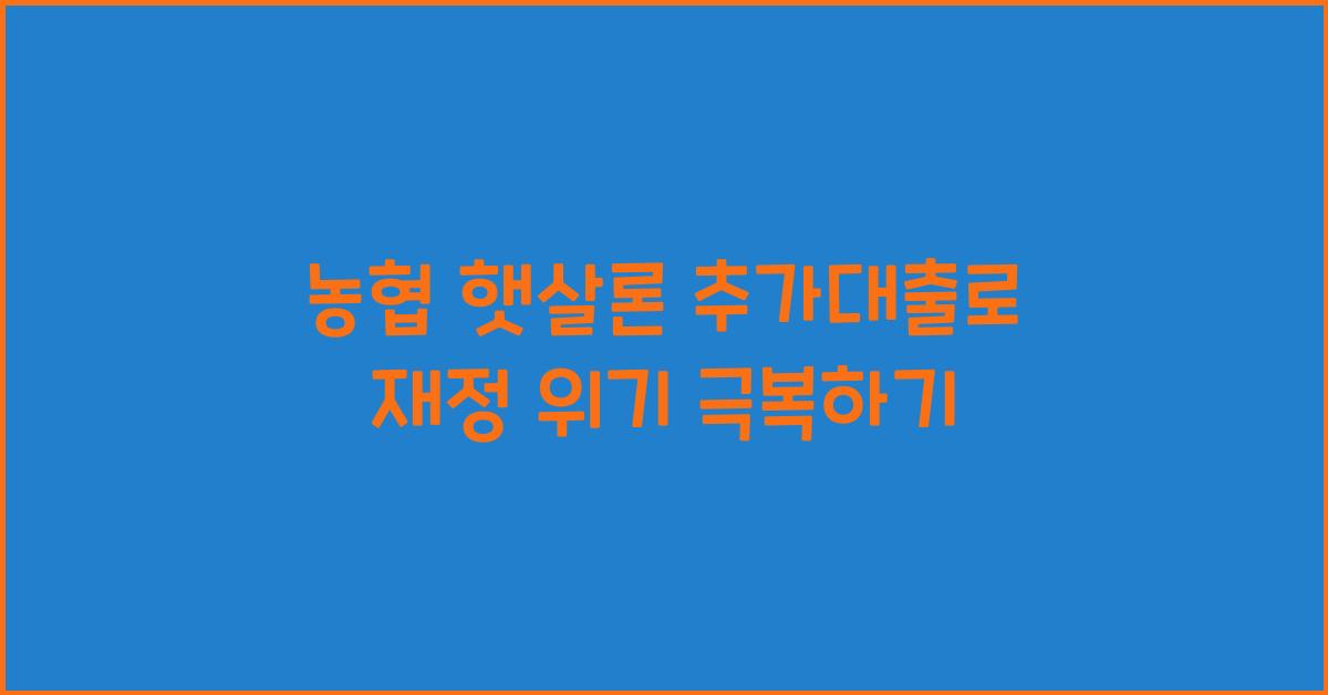 농협 햇살론 추가대출