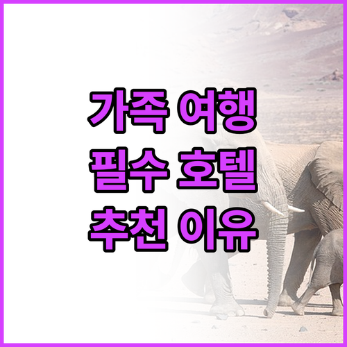 가족 여행객 주목! ES CON 필드..