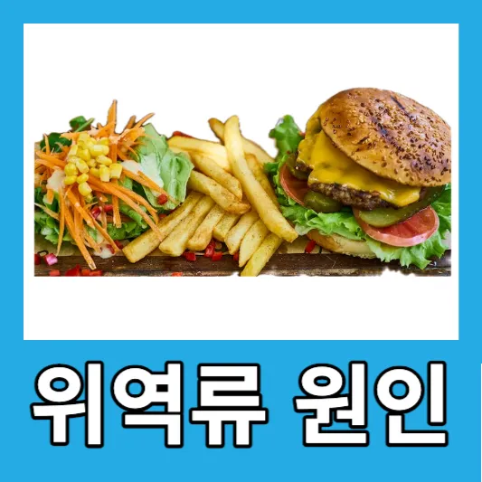 위역류 원인