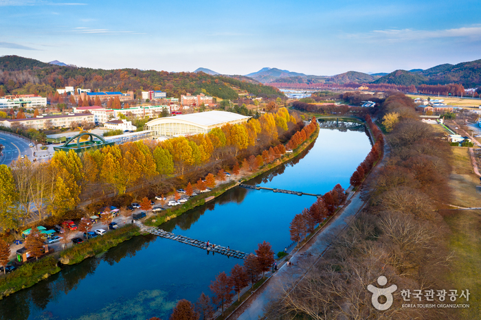 담양 가볼만한곳 베스트10
