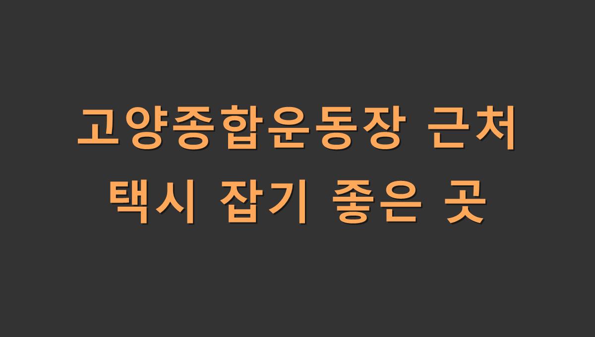 고양종합운동장 근처 택시 잡기 좋은 곳