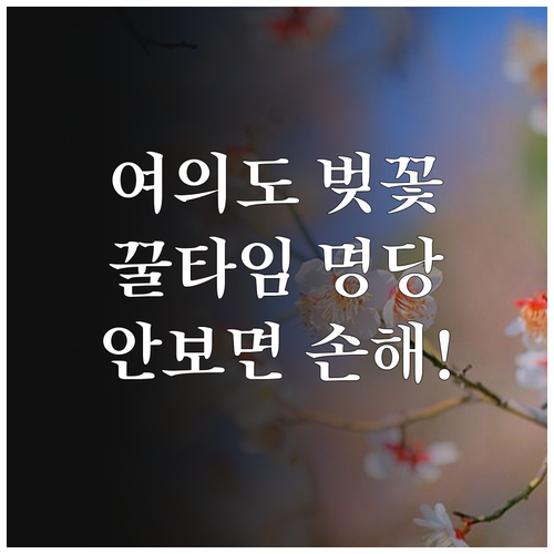 2026 여의도 벚꽃 축제 방문 시간..