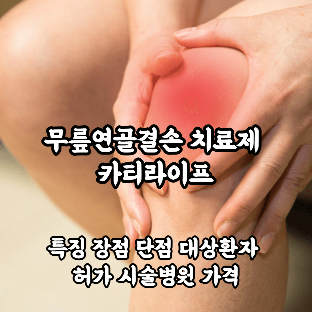 무릎연골결손치료제 카티라이프 특징 장점 단점 대상환자 허가 시술병원 가격