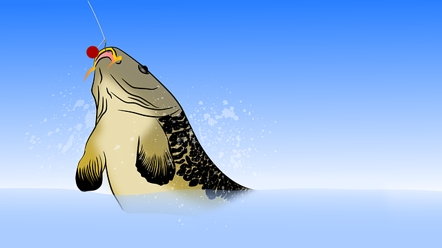 낚시 꿈해몽&amp;#44; 낚시하는 꿈해몽