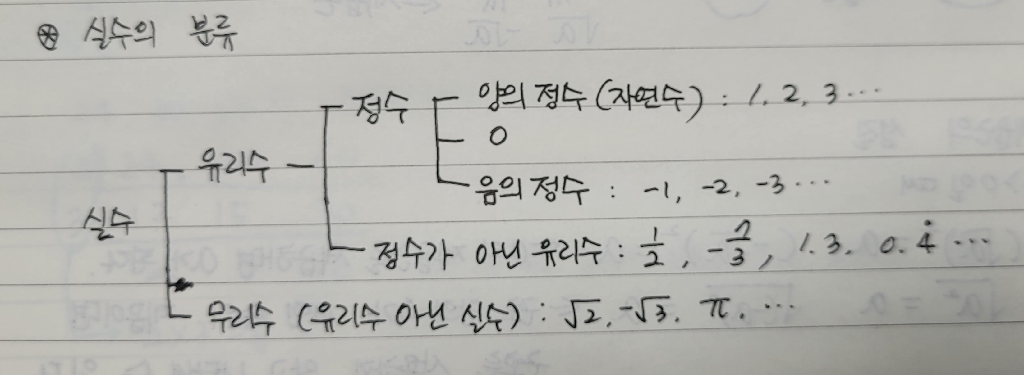 실수의 분류