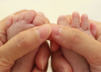 디노테퓨란 배출