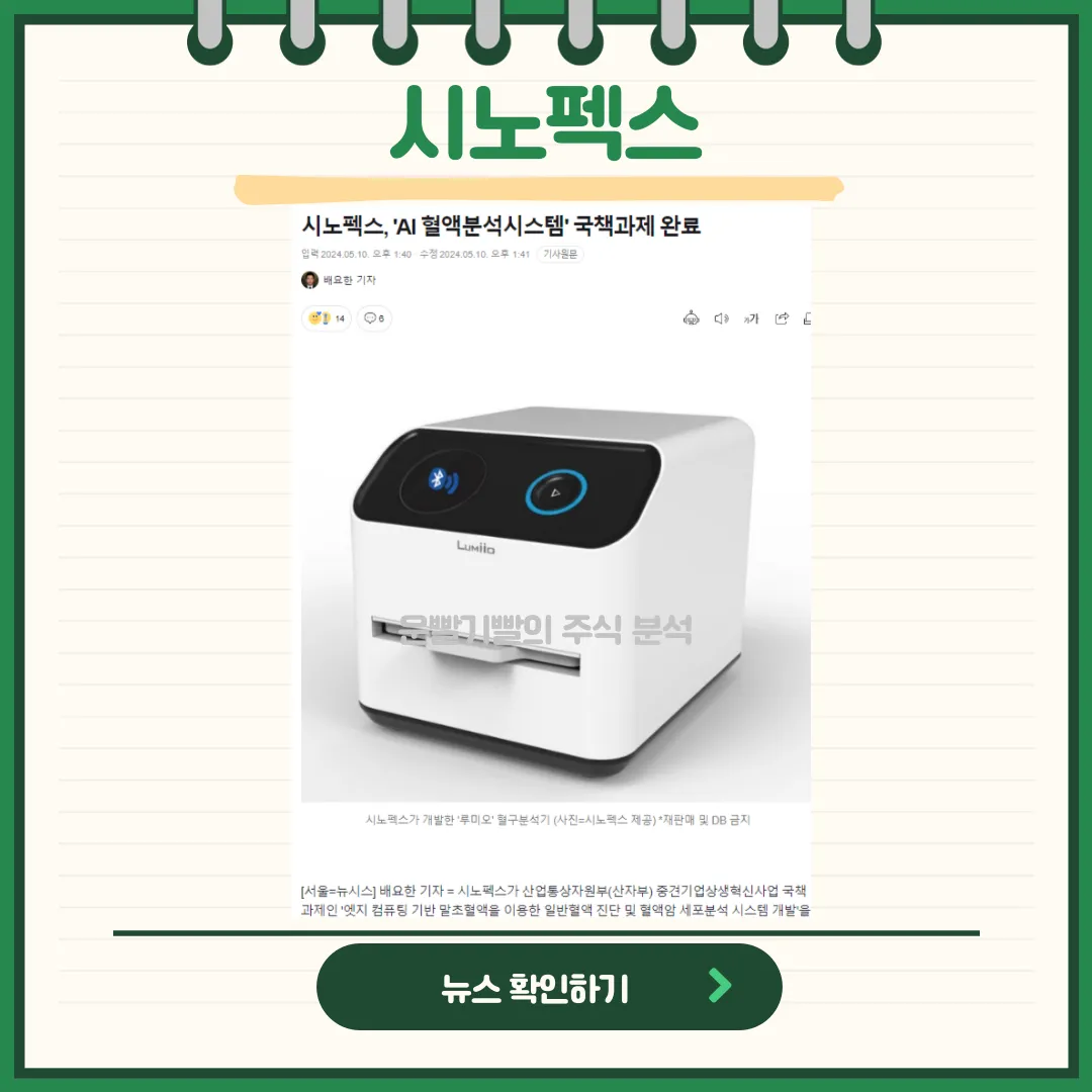 시노펙스 뉴스