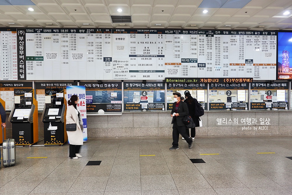 부산 - 경주 시외버스, 고속버스 차이, 터미널 위치