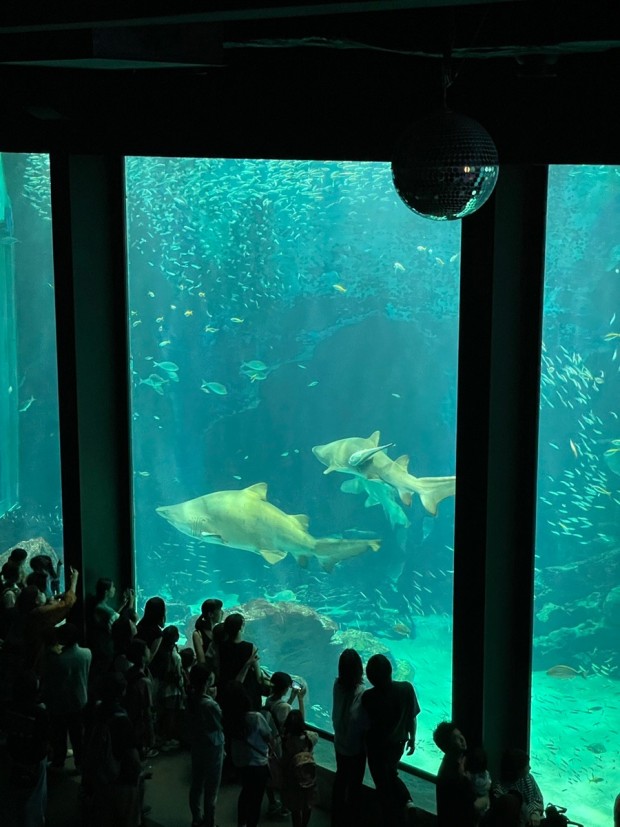 일본 후쿠오카 자유여행 TOP 9 : 벳푸 여행&amp;#44; 아이와 가볼만한 곳