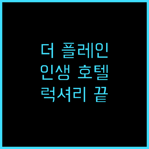 더 플레인 호텔 숙박 후기! 2024..