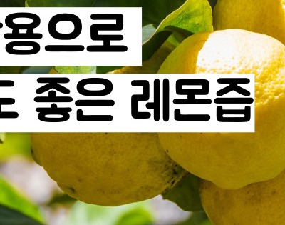 레몬즙 효능