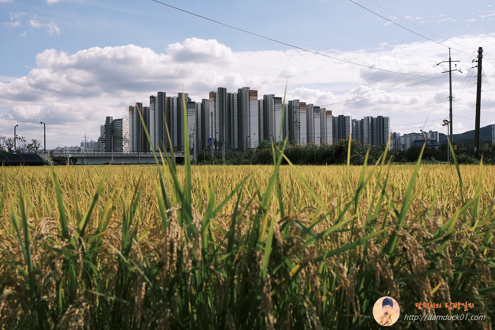 논-벼-아파트