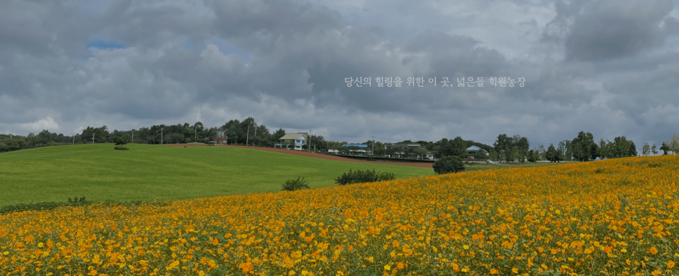 고창 학원 농장 입장료 총정리 관련사진