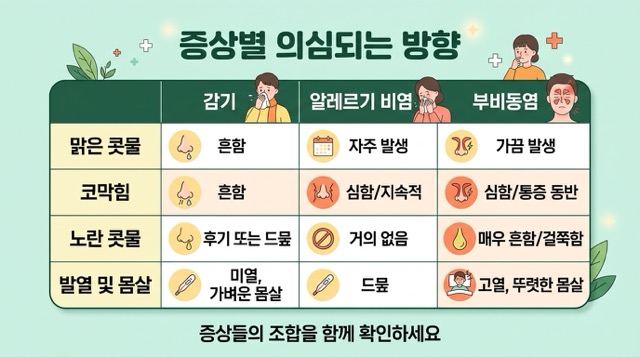비염 증상별 의심 방향 알레르기 비염 축농증 감기 비교표