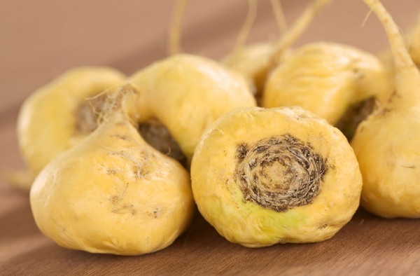 마카(Maca)란 무엇인가요?