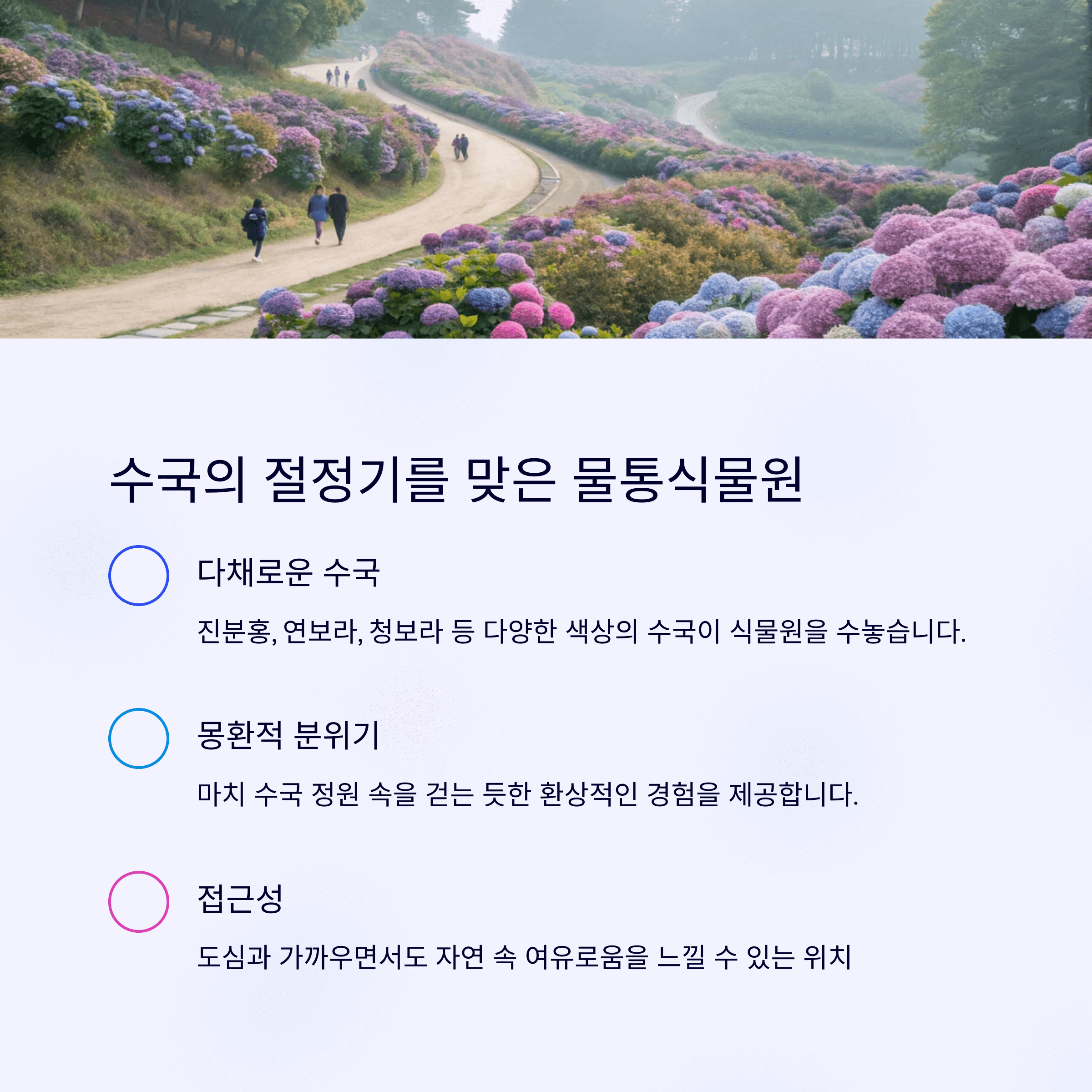 수국 절정기를 맞이한 양평 물통식물원의 수국길 풍경과 관람 포인트 소개