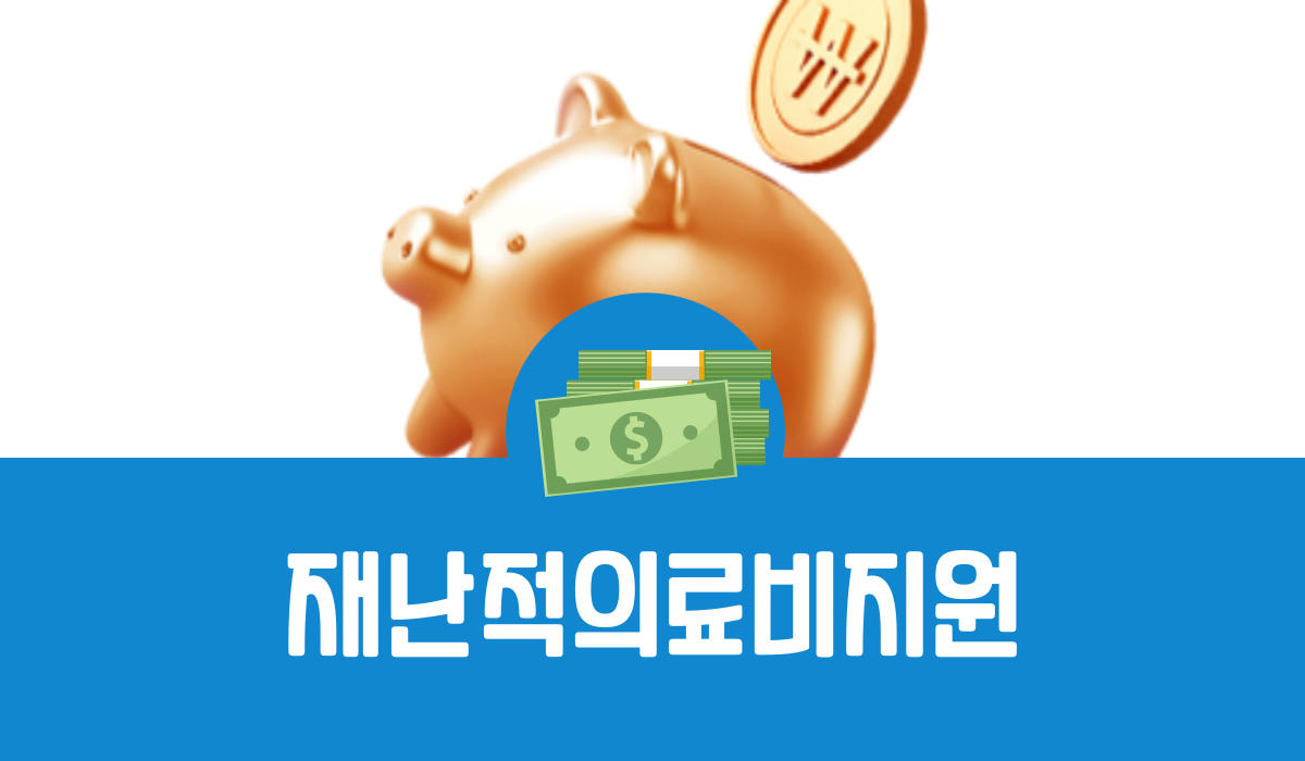 재난적의료비지원