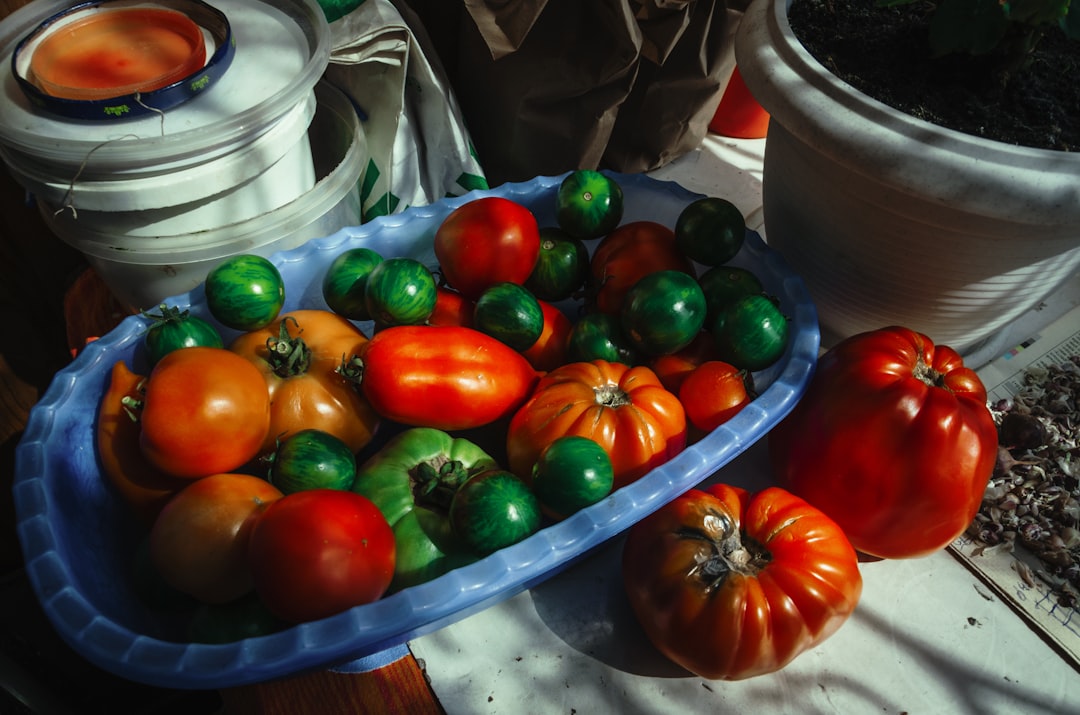 Vegetables.