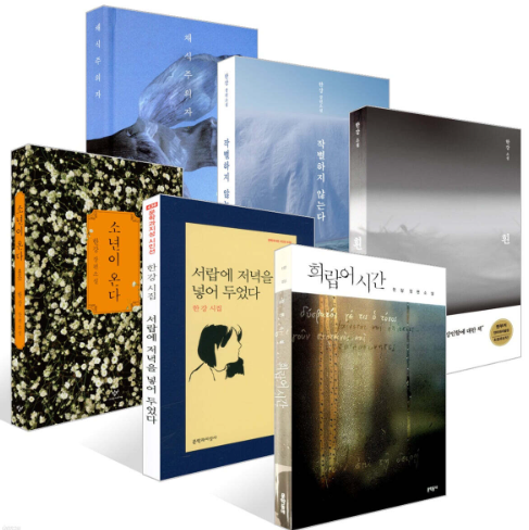 2024 노벨문학상 수상작가 한강 대표작 도서 핵심내용 정리