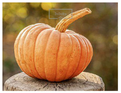 다이어트에-좋은-가을-제철음식-늙은호박