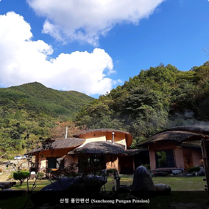 산청 풍안펜션 (Sancheong Pungan Pension)_3