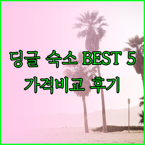 딩글 숙소 추천 베스트 5 가격 비교