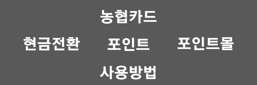 농협카드 포인트 사용방법 알아보기