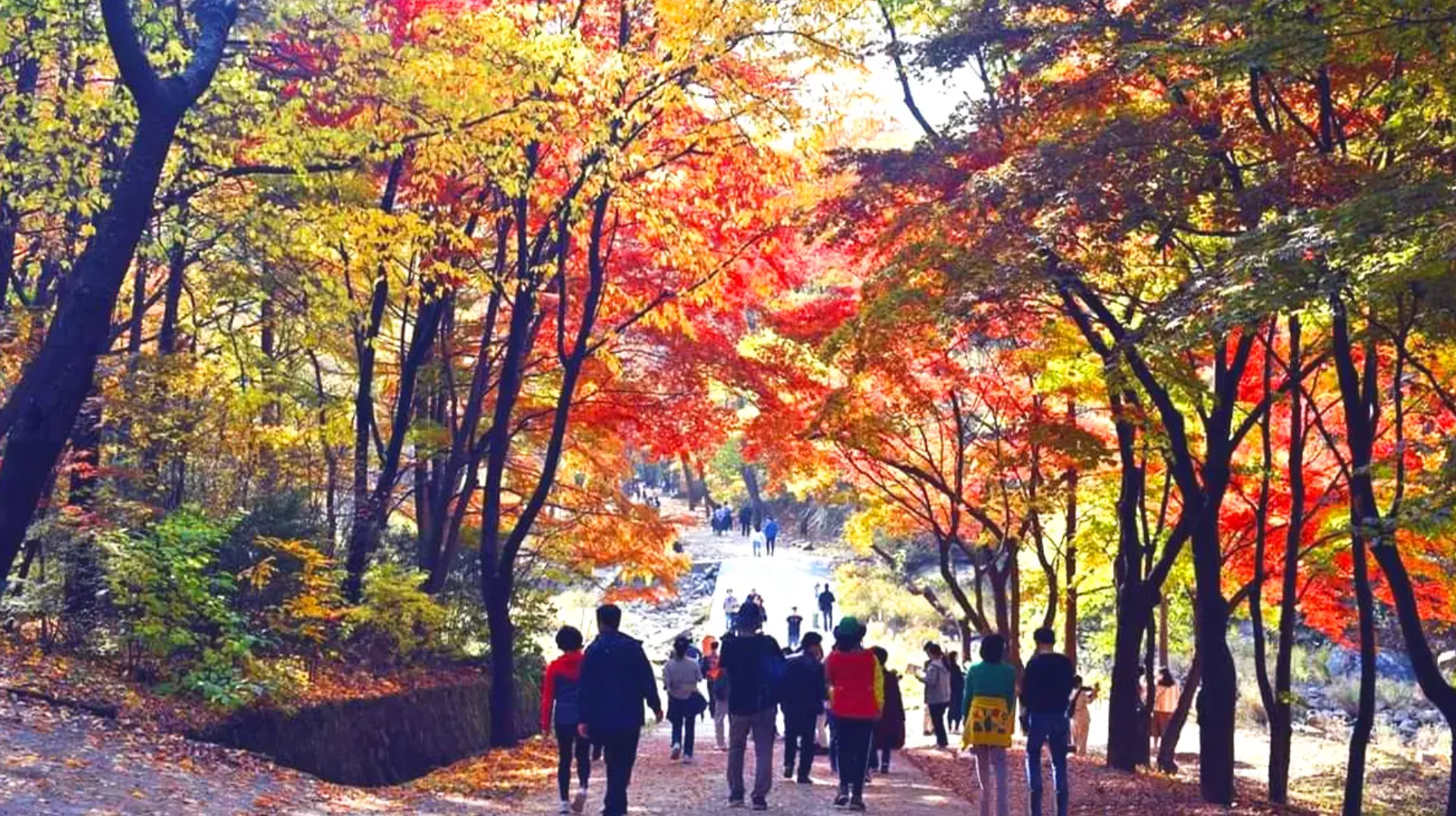 서울대 안양수목원 예약방법 완벽가이드