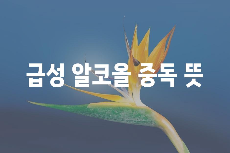 샘플 (45)