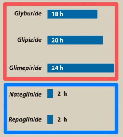 sulfonylurea Glinide의 작용시간차이