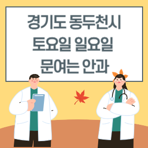 경기도 동두천시 토요일 일요일 안과 진료 문여는 병원 리스트