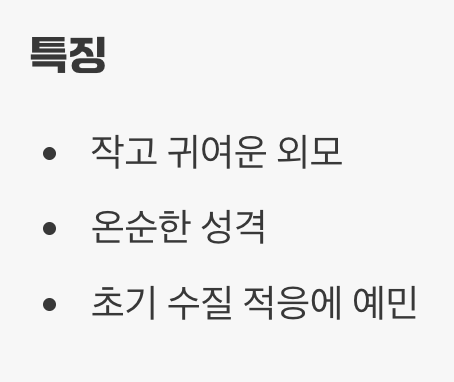 유리창의 달인, 작고 귀여운 오토싱