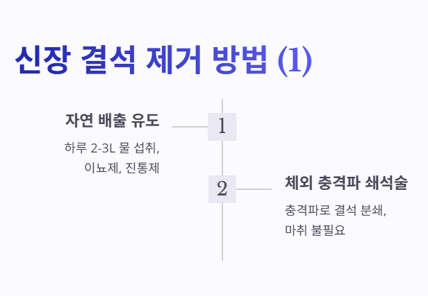 신장 결석 제거 방법 1