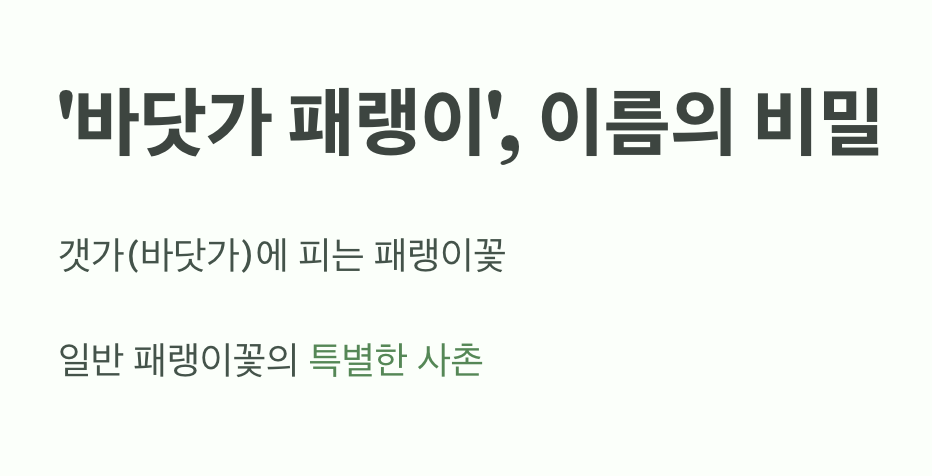 '바닷가 패랭이', 이름의 비밀