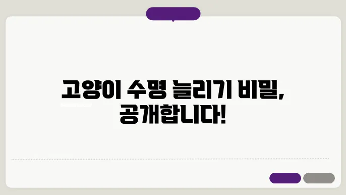 고양이 친구의 수명을 연장하는 비밀 공개