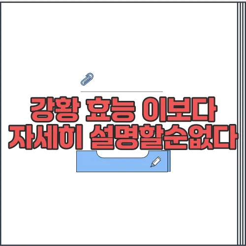 강황 효능 이보다 자세히 설명할순없다