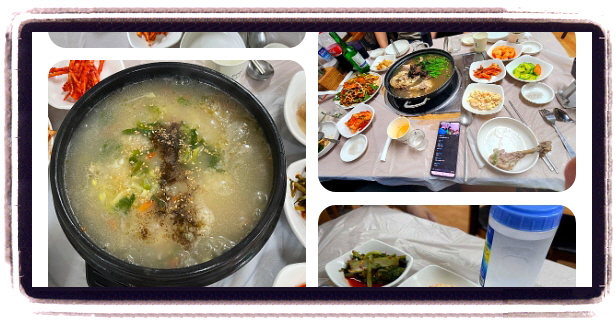 오늘N 할매식당 누룽지닭백숙 후기